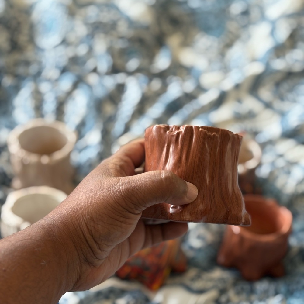 Ceramic Pots